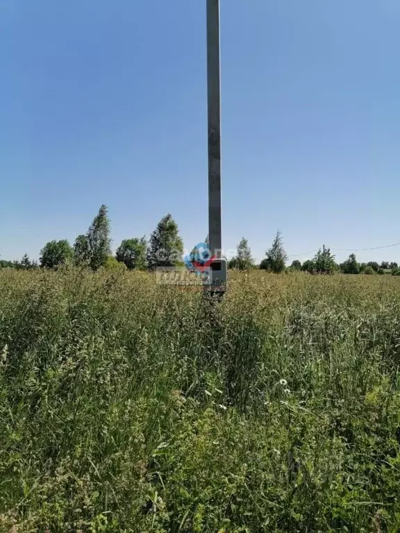 Участок в Ярославская область, Переславль-Залесский муниципальный ... - Фото 1