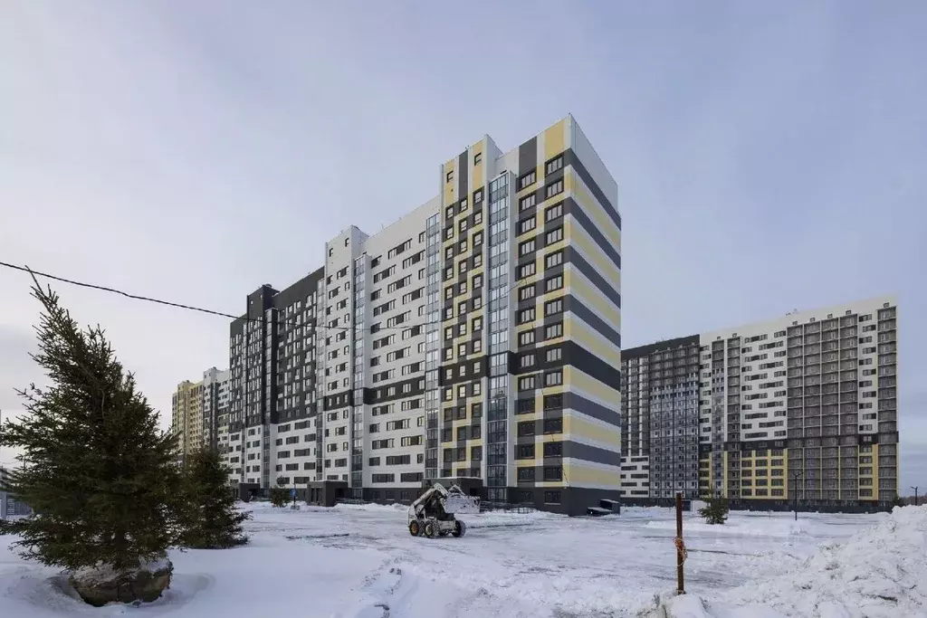 Студия Новосибирская область, Новосибирский район, Станционный ... - Фото 1