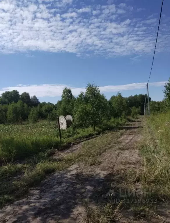 Участок в Новосибирская область, Новосибирский район, с. Плотниково  ... - Фото 1