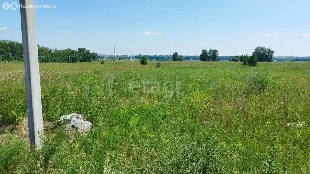 Участок в Искитимский район, Совхозный сельсовет, село Лебедёвка (12.9 ... - Фото 0