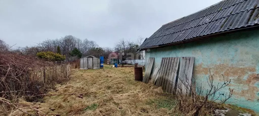 участок в калининградская область, калининград искра тсн, (10.0 сот.) - Фото 1