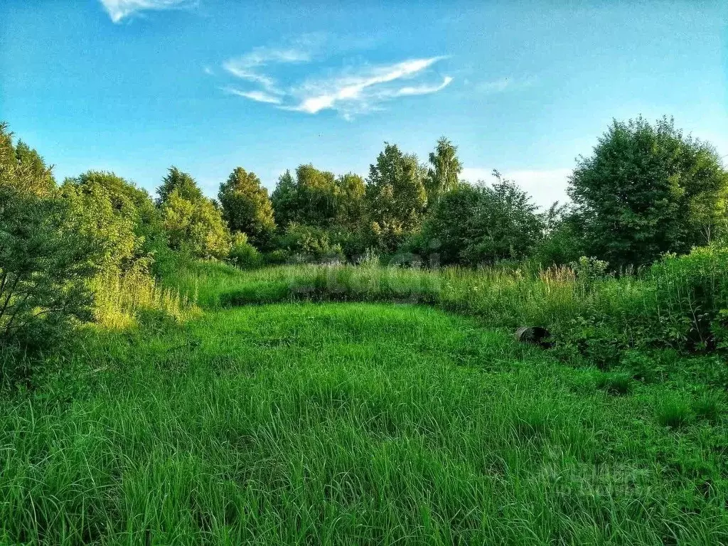 Участок в Ярославская область, Переславль-Залесский муниципальный ... - Фото 1