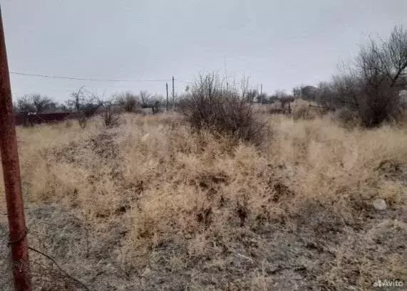 Участок 8 сот. (СНТ, ДНП) - Фото 0