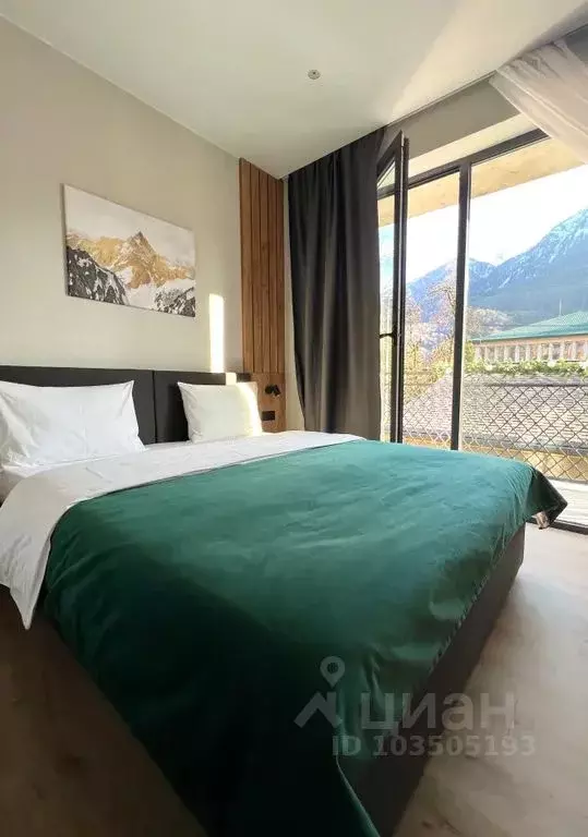 1-к кв. Краснодарский край, Сочи Красная Поляна пгт, ул. Турчинского, ... - Фото 1