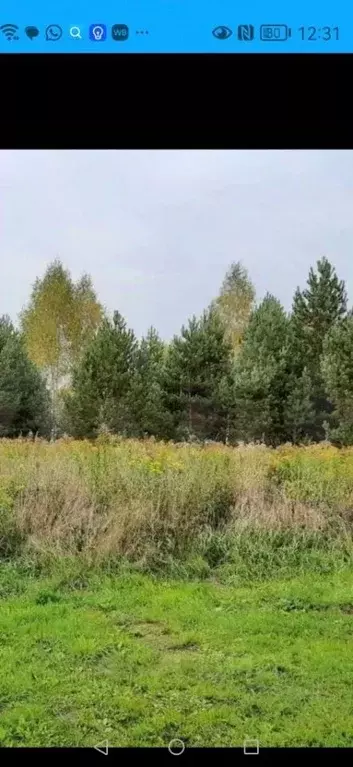 Участок в Владимирская область, Владимир Миловка СТ, 12 (10.0 сот.) - Фото 1