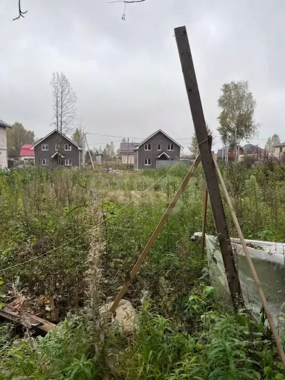 Участок в Московская область, Щелково городской округ, Екатерининская ... - Фото 1