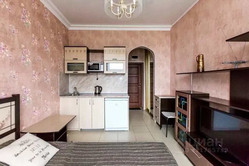 1-к кв. Краснодарский край, Сочи Курортный просп., 75к1 (20.0 м) - Фото 2