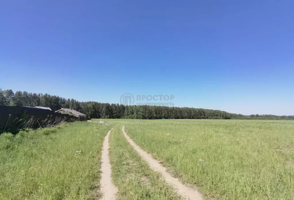 Участок в Московская область, Лосино-Петровский городской округ, д. ... - Фото 0