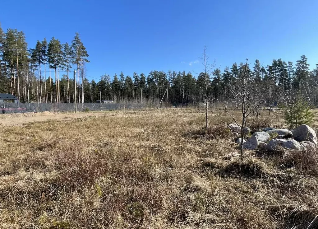Участок в Ленинградская область, Выборгский район, Полянское с/пос, ... - Фото 2