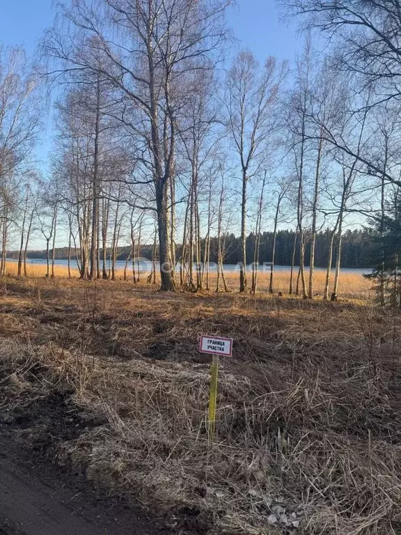 Участок в Ленинградская область, Приозерский район, Мельниковское ... - Фото 1