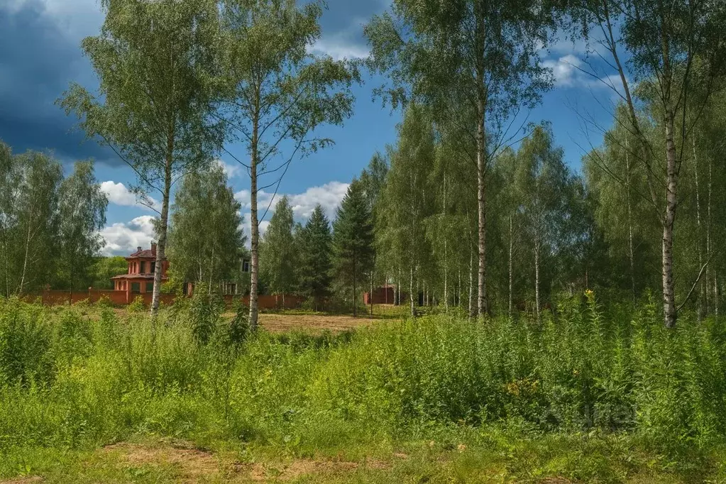 Участок в Московская область, Красногорск городской округ, д. ... - Фото 2