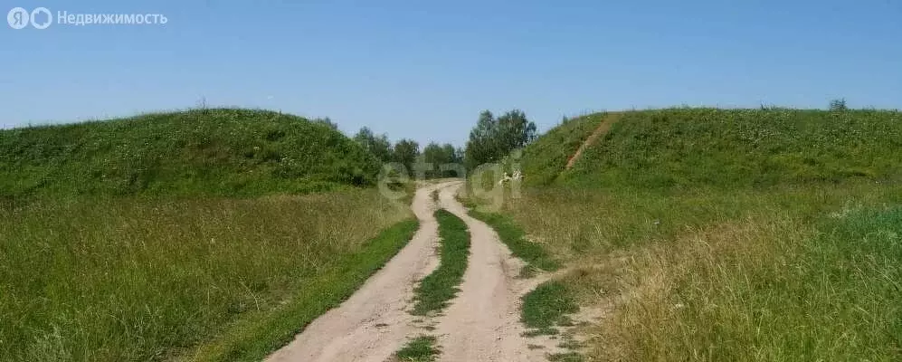 Участок в Владимирская область, Меленковский муниципальный округ, ... - Фото 0