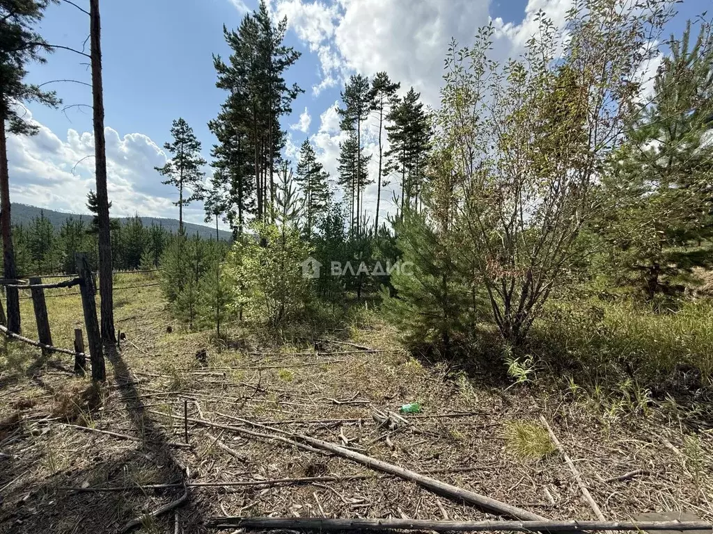 Участок в Бурятия, Улан-Удэ Забайкальский мкр,  (8.0 сот.) - Фото 2