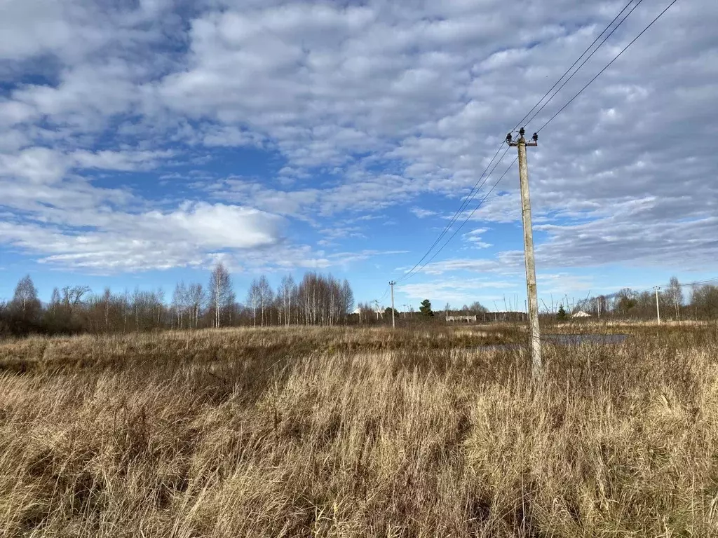 Участок в Тверская область, Конаковский муниципальный округ, д. ... - Фото 1