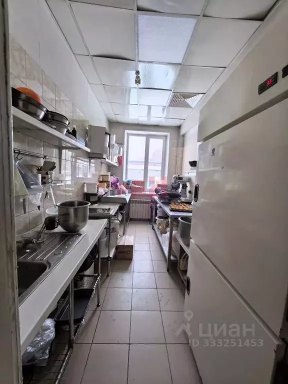 Помещение свободного назначения в Омская область, Омск ул. Муромцева, ... - Фото 2