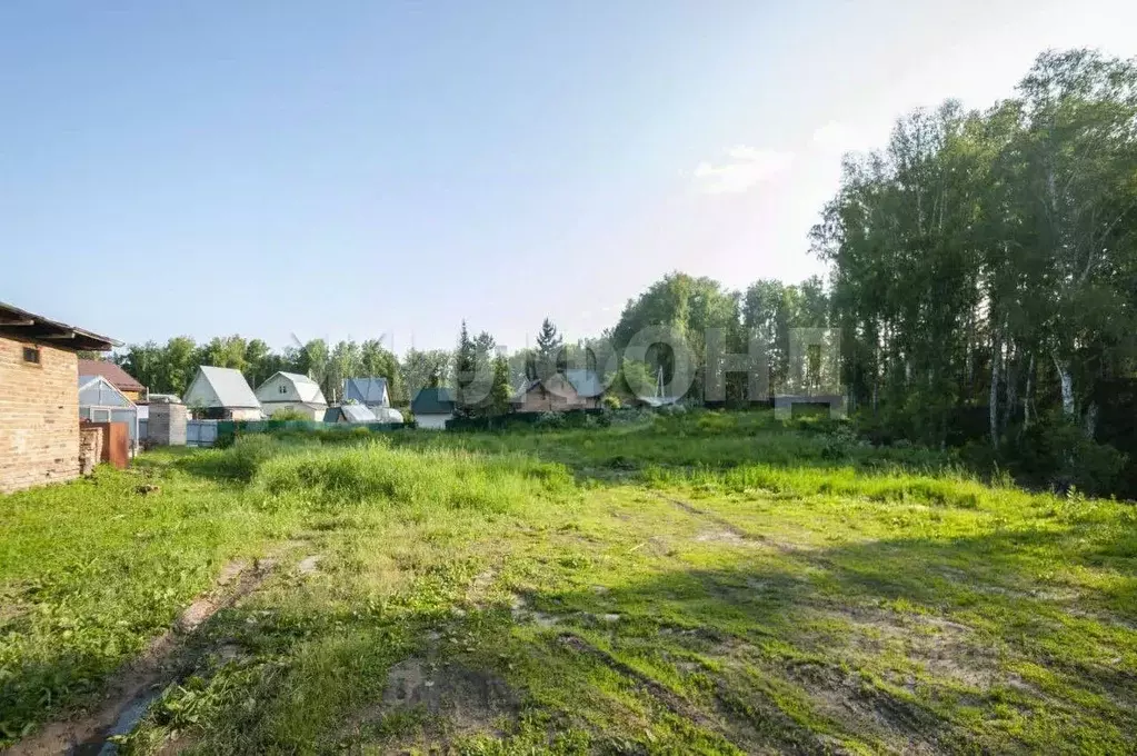 Участок в Новосибирская область, Новосибирский район, Барышевский ... - Фото 2