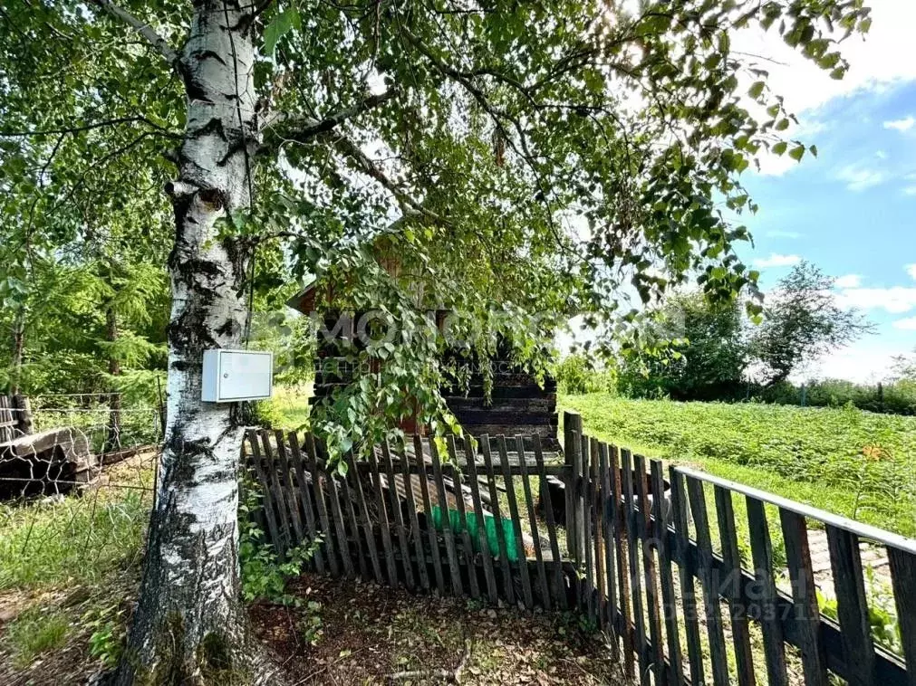 Дом в Амурская область, Белогорск ул. Богдана Хмельницкого (18 м) - Фото 2