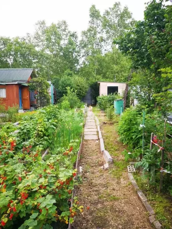 Дом в Хабаровск, СНТ Энергомаш-2 (25 м) - Фото 0