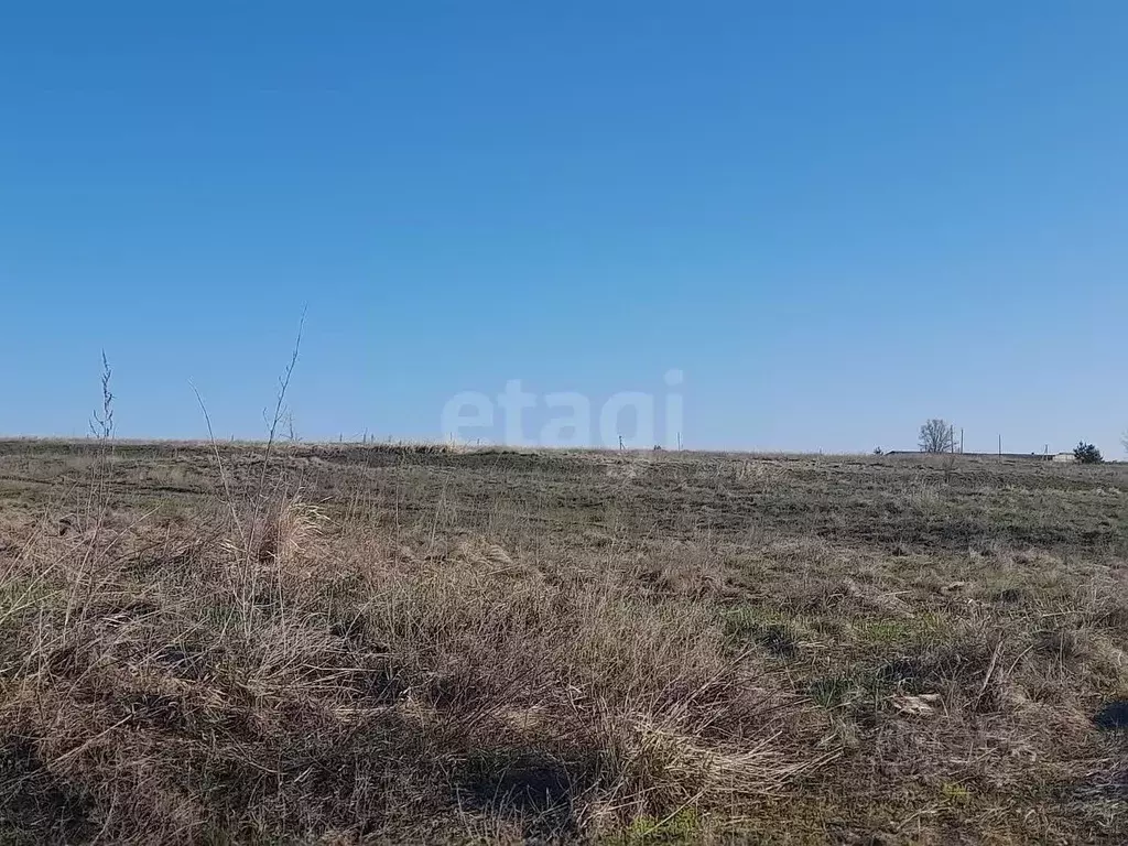 Участок в Саратовская область, Балашовский район, с. Репное  (10.1 ... - Фото 1