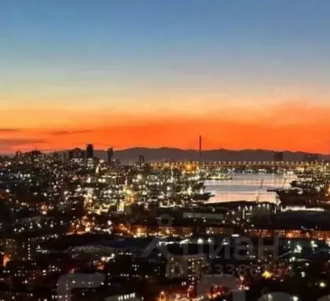 Студия Приморский край, Владивосток Стрелковая ул., 18к2 (29.7 м) - Фото 1