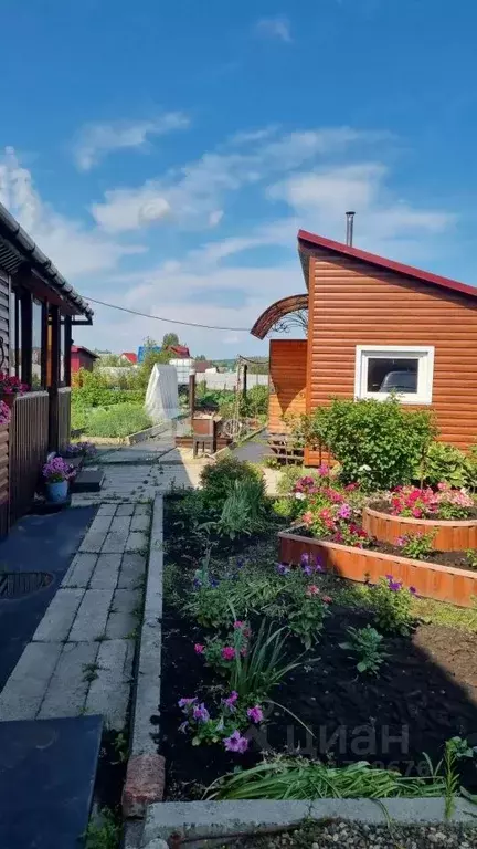 Дом в Кемеровская область, Калтан Прикондомское СНТ, ул. Лунная (31 м) - Фото 1