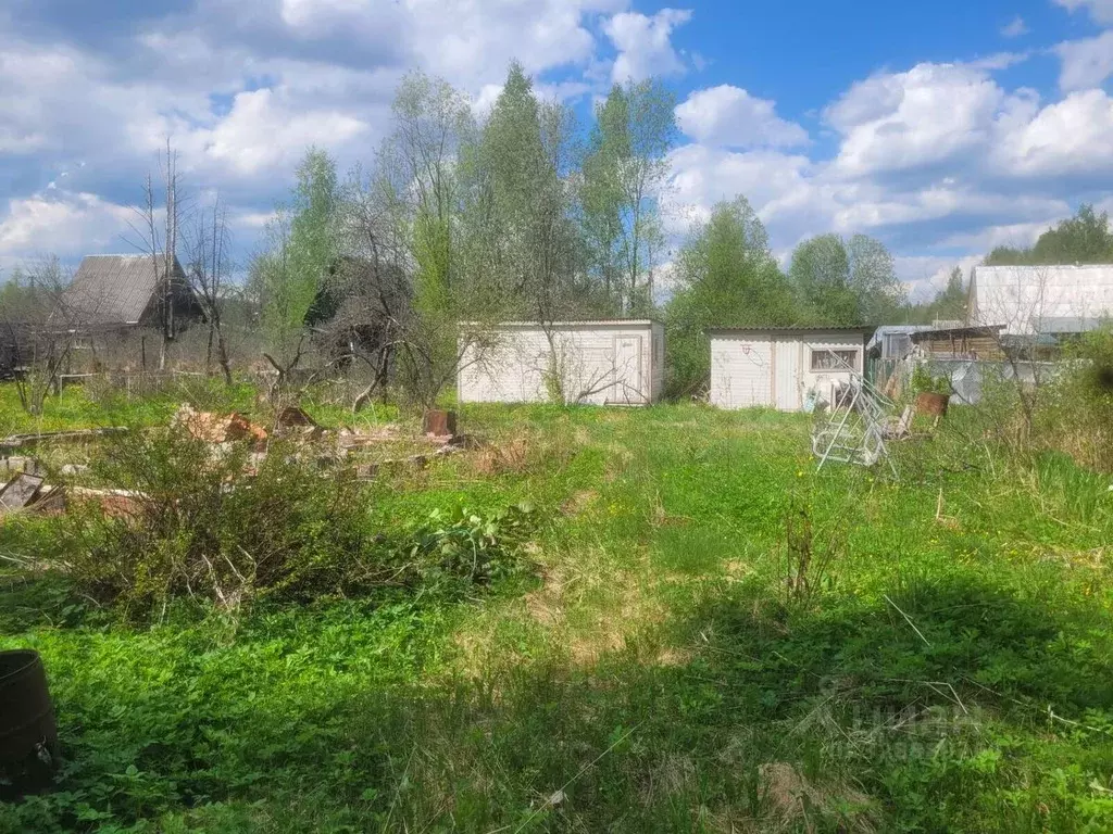Участок в Ленинградская область, Лужский район, Мшинское с/пос, ... - Фото 2