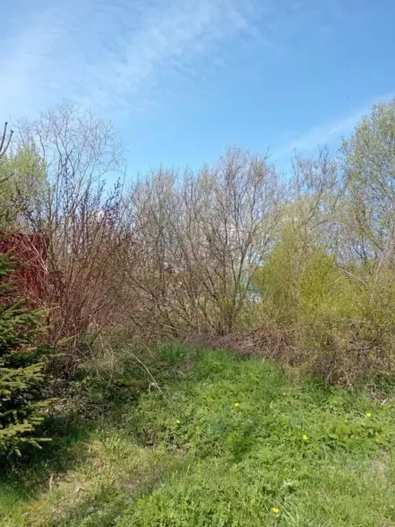 Участок в Ленинградская область, Тосненский район, Любанское городское ... - Фото 2