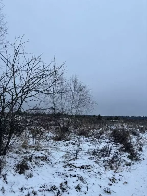 Участок в Московская область, Ступино городской округ, д. Прудно ул. ... - Фото 2