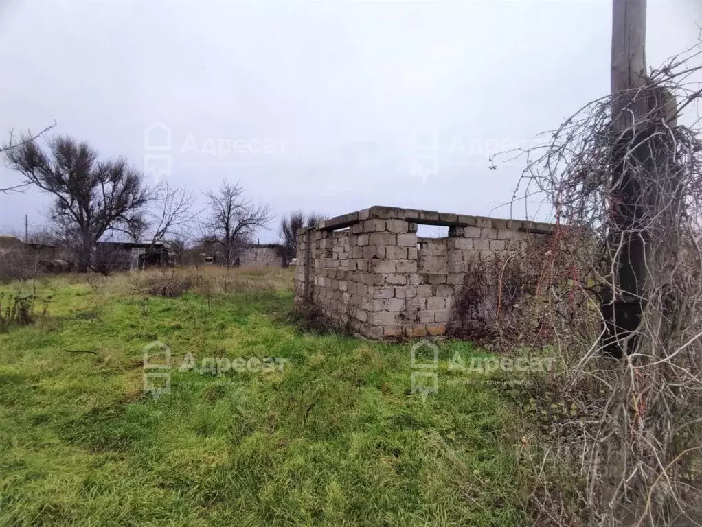 Участок в Волгоградская область, Светлоярский район, Червленовское ... - Фото 1
