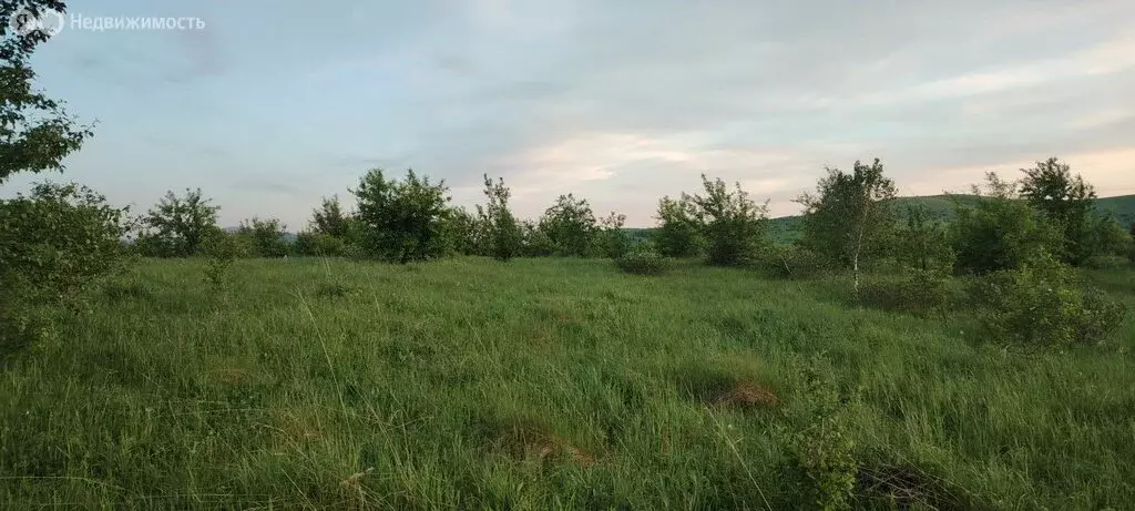 Участок в Алтайский район, автодорога Подгорное - Ая (10 м) - Фото 0