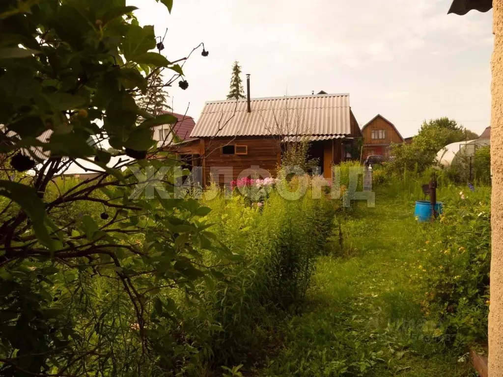Дом в Новосибирская область, Новосибирский район, Краснообск рп 30 (50 ... - Фото 1