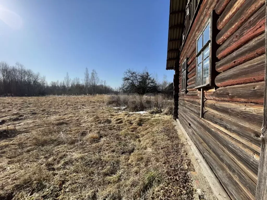 Дом в Псковская область, Островский муниципальный округ, Бережанская ... - Фото 1