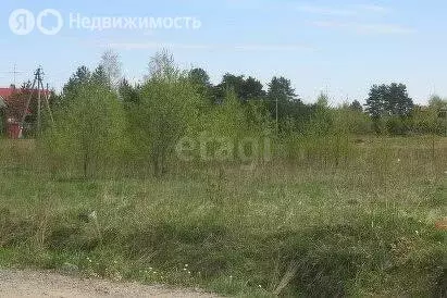 Участок в Раздольненский сельсовет, садовое некоммерческое ... - Фото 0