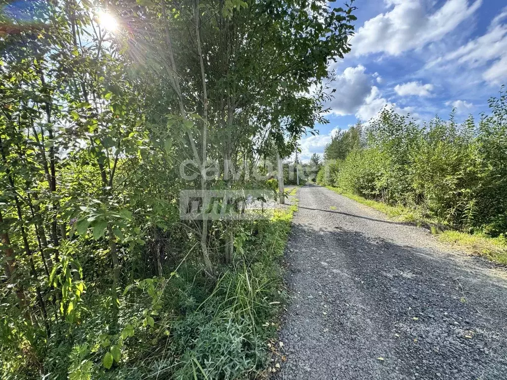 Участок в Ленинградская область, Тосненский район, Форносовское ... - Фото 1