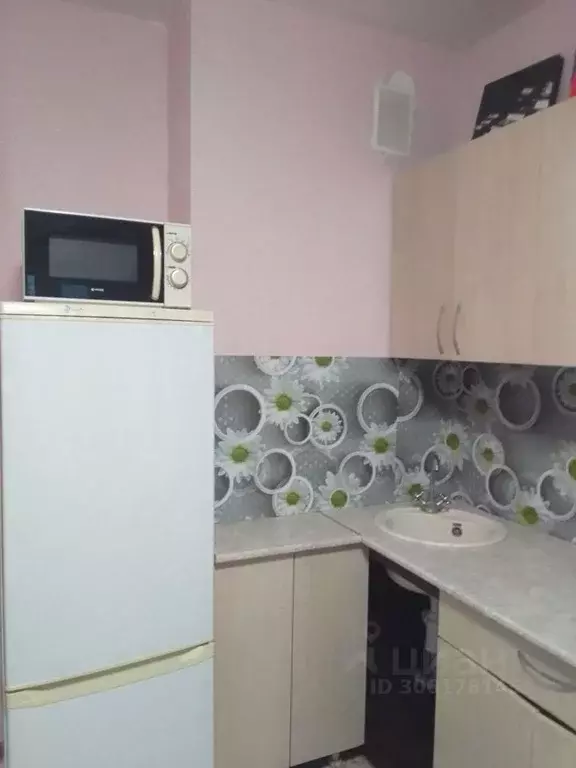 Студия Томская область, Томск пос. Новый, ул. Мечникова, 1 (20.7 м) - Фото 1