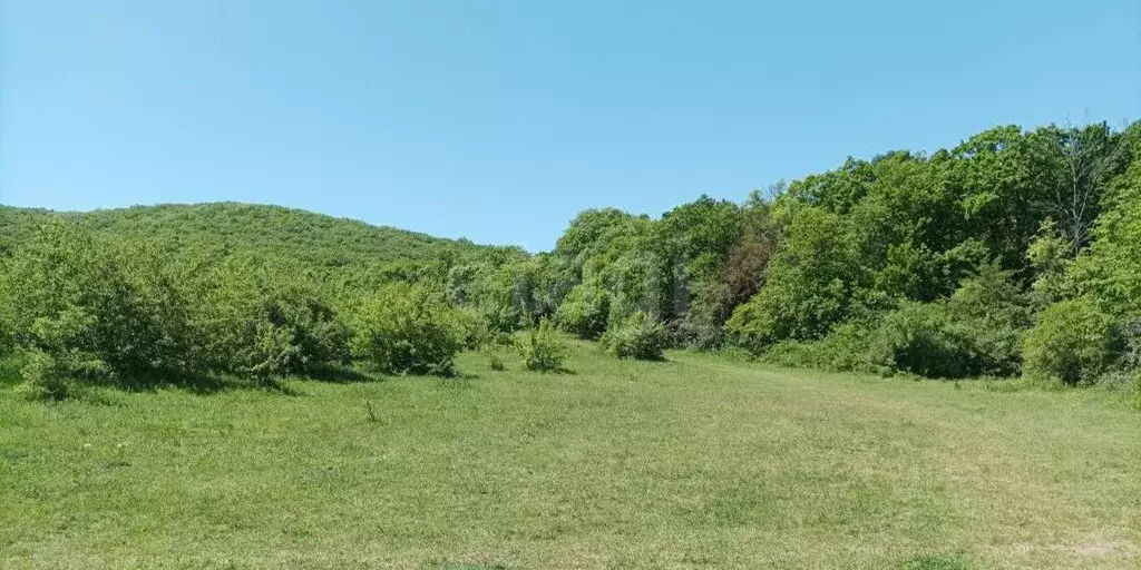 Участок в Крым, Кировский район, Старый Крым городское поселение ул. ... - Фото 1