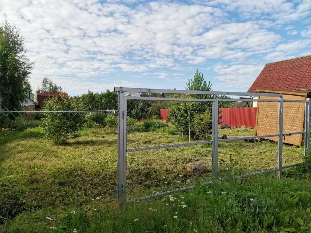 Участок в Ленинградская область, Выборг Большой Лог СНТ, ул. 6-я ... - Фото 0