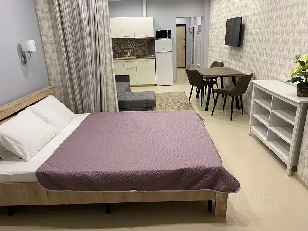 Студия Краснодарский край, Сочи Центральный мкр, ул. Несебрская, 14 ... - Фото 1