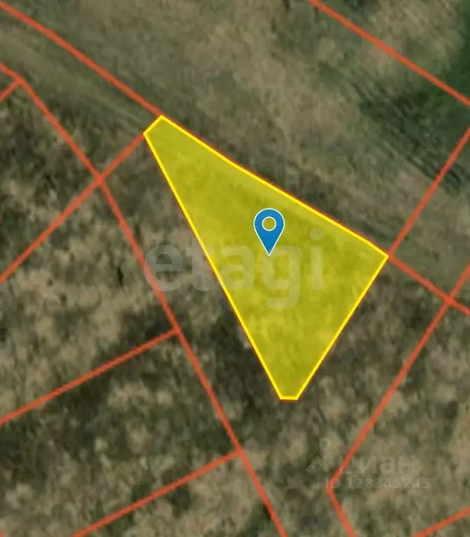 Участок в Нижегородская область, Богородский муниципальный округ, д. ... - Фото 2