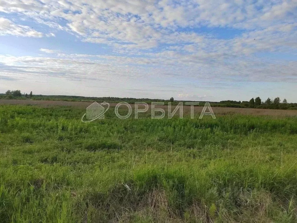 Участок в Тюменская область, Тюменский район, с. Салаирка  (106.6 ... - Фото 1