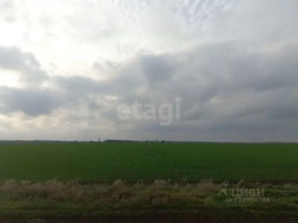 Участок в Крым, Первомайский район, Кормовское с/пос, с. Кормовое  ... - Фото 1