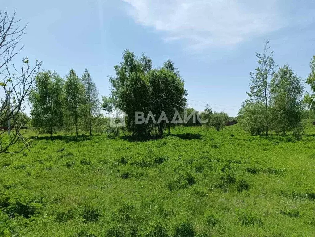 Участок в Владимирская область, Судогодский район, пос. Головино ... - Фото 0