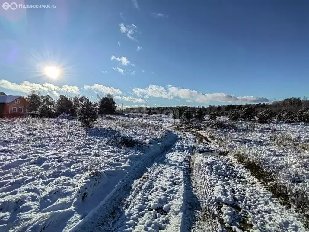 Участок в Угличский район, Слободское сельское поселение, деревня Палы ... - Фото 0