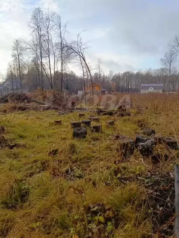 Участок в Тюмень, Центральный округ (15 м) - Фото 1