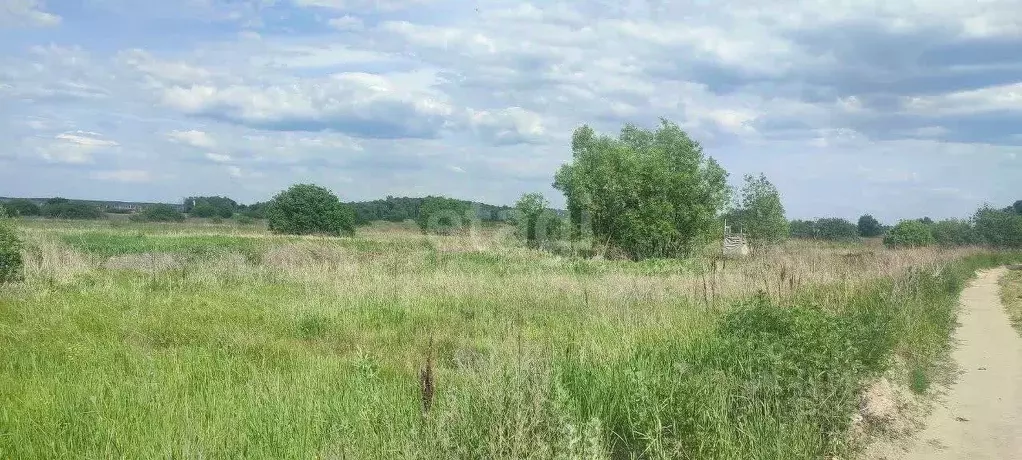Участок в Воронежская область, с. Новая Усмань ул. Крамского, 1 (8.0 ... - Фото 1