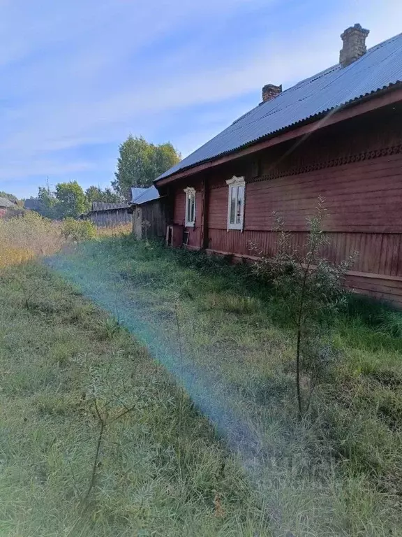 Дом в Вологодская область, Бабаевский муниципальный округ, д. Дубровка ... - Фото 1