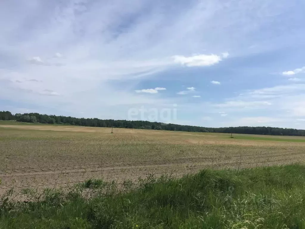 Участок в Калужская область, Тарусский муниципальный округ, Петрищево ... - Фото 2
