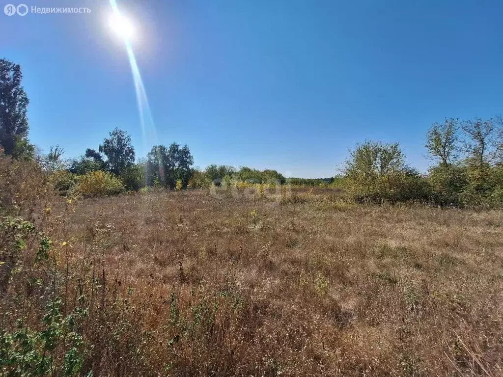 Участок в Семилукский район, село Девица (18 м) - Фото 1