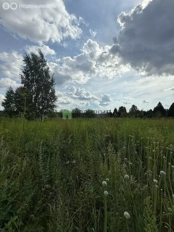 Участок в село Ягул, Петровская улица, 24 (9 м) - Фото 1