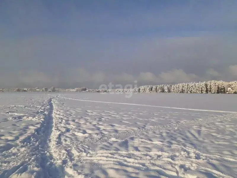 Участок в Свердловская область, Екатеринбург Малый Исток кп,  (550.0 ... - Фото 1